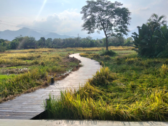 From Rural Roots to Rural Revival: How Tourism Is Transforming Qingyuan’s Countryside